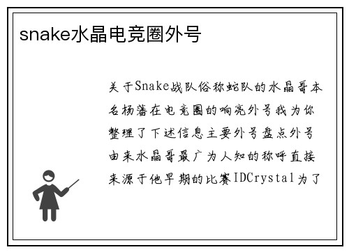 snake水晶电竞圈外号